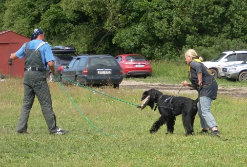 Training in Estonia 6/2007